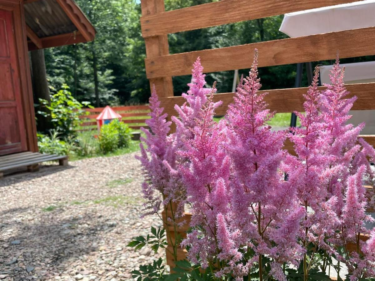 Domek Caloroczny Zagroda Mlynski Sułkowice Buitenkant foto